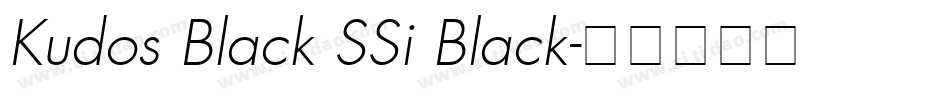 Kudos Black SSi Black字体转换
